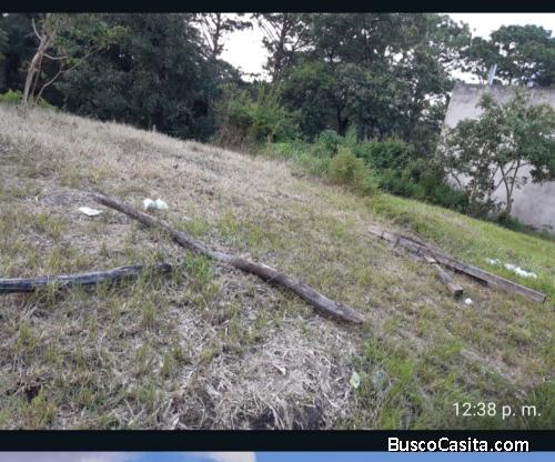 Ganga bonito trrreno