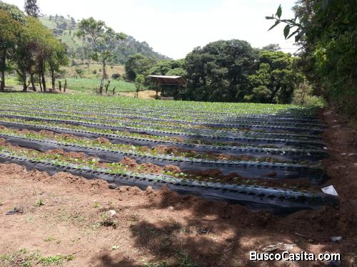 VENDO TERRENO EN SUMPANGO SACATEPEQUEZ. EL TRIGAL V