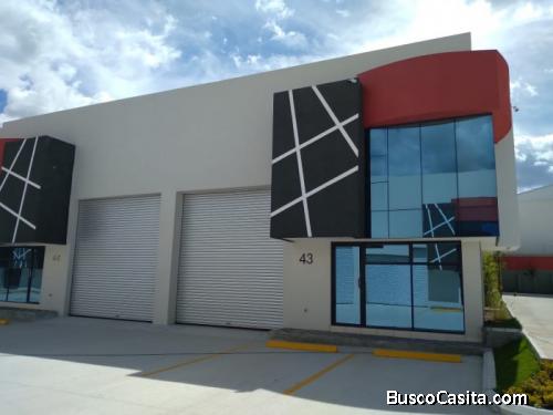 Citymax-Xela Renta Ofibodega Nueva 252.58m2  En Xela; Idi: 118211