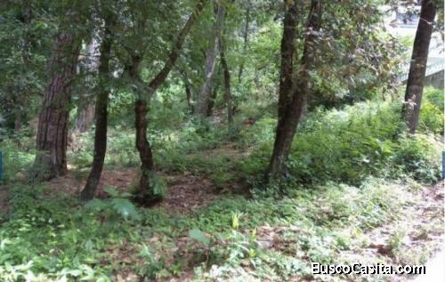 Se Renta  Finca En Suchitepequez. Excelente Ubicación, ; Idi: 110373