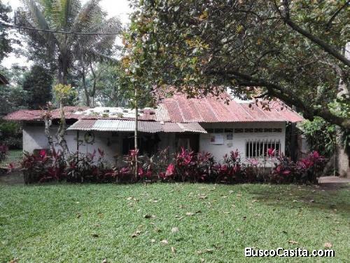 Citymax Vende Finca De 8.5 Manzanas En Suchitepequez.; Idi: 110353