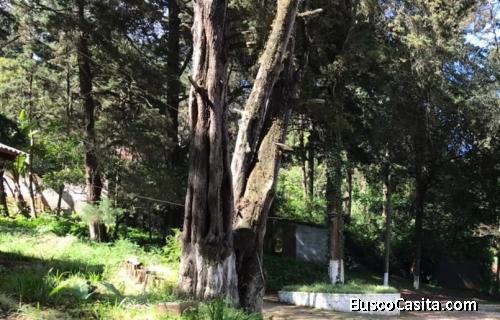 Terreno En Venta En Santa Lucia Milpas Altas; Idi: 136784