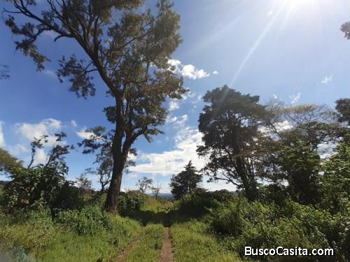 Terreno En Venta Carretera A Santa Elena Barillas; Idi: 118738