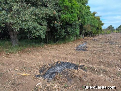 Terreno A Orilla De Calle En Renta En Chimaltenango; Idi: 136250