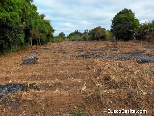 Terreno En Venta Para Desarrollo En Chimaltenango; Idi: 135367