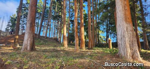 Terreno Residencial En Venta Condominio De Fraijanes ; Idi: 133380