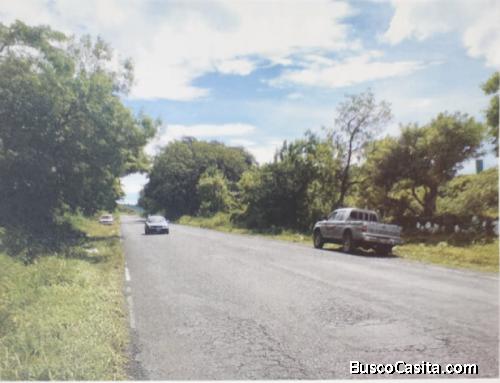 Terreno Para Desarrollo Comercial O Vivienda Sobre Ca-1; Idi: 131976