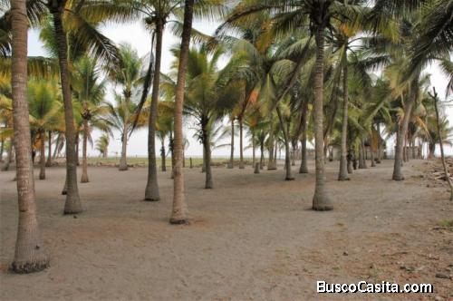 Terreno Frente Al Mar Con Chalet En Venta Playa Tulate; Idi: 128999