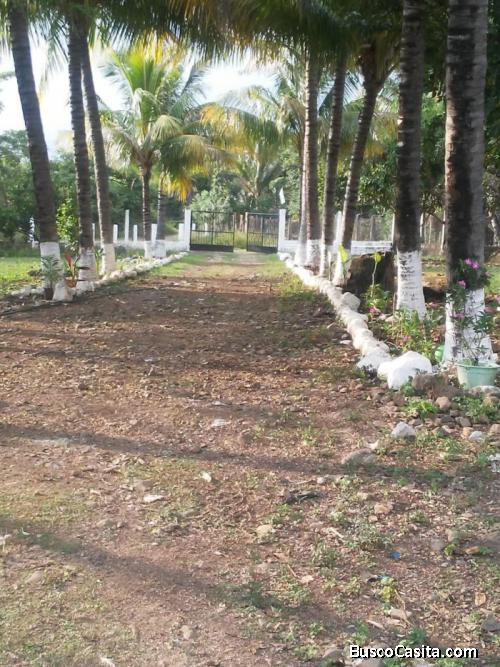 Terreno En Venta Oratorio Santa Rosa; Idi: 123839