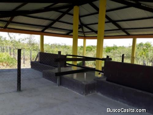 Establo Para Ganado En Venta En San Benito Petén; Idi: 112965