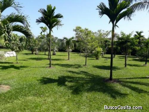 Finca En Venta En San Benito Petén Guatemala; Idi: 112957