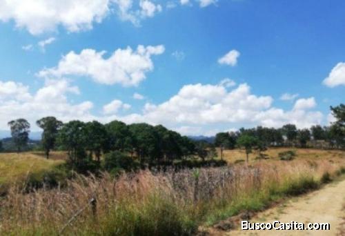 Terreno En Venta En Prados De La Floresta Sacatepequez; Idi: 110047