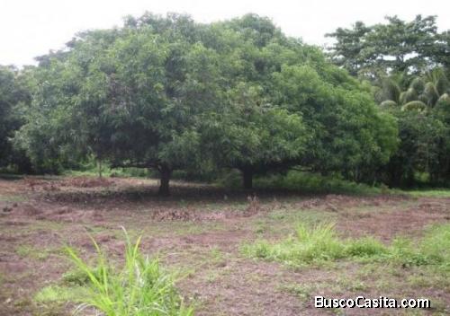 Finca En Venta En  Guanagazapa Escuintla; Idi: 107704