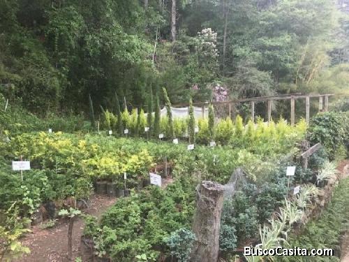 Terreno En Venta Para Desarrollo En San José Pinula ; Idi: 107551