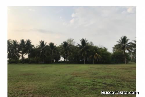 Finca En Venta En Masagua Escuintla Guatemala; Idi: 107469