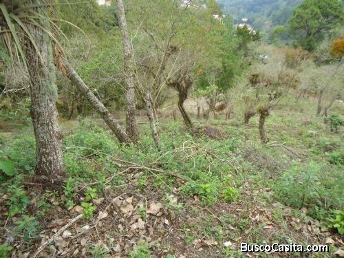 Terreno En Venta En Las Cumbres Zona 16 Guatemala; Idi: 107465