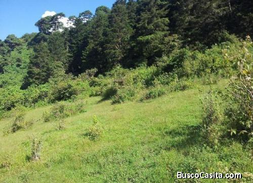 Terreno En Venta En Vista Hermosa Iv Zona 16 Guatemala; Idi: 107456