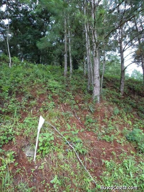 Vendo Terreno En Zona 16; Idi: 107442