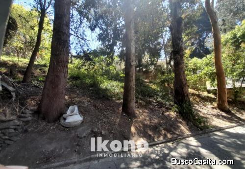 VENTA DE TERRENO EN KM 12.5 CAES, SANTA ROSALIA 