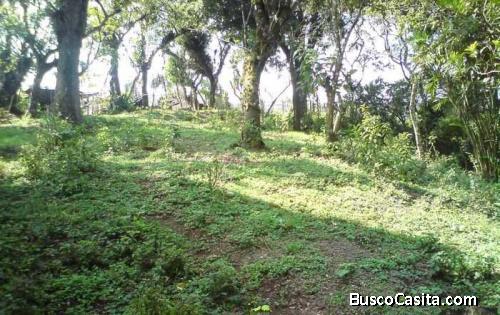 TERRENO 2 MZ. VENTA ATRAS DE PRICESMART VILLA CANALES