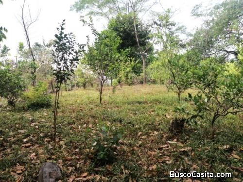 Terreno En Venta En Quintas Vallarta Escuintla; Idi: 134195