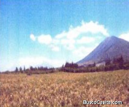 Terreno En Venta En Villa Canales ; Idi: 133826