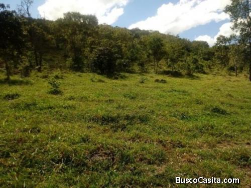 Vendo Terreno, Quebrada Seca. Gualán Zacapa; Idi: 128570