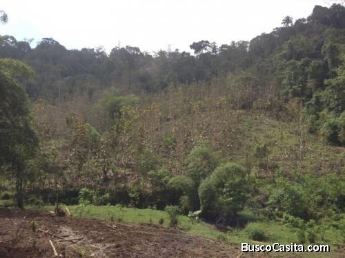 Terreno En Venta, Palencia, Azacualpilla, Guatemala; Idi: 128551