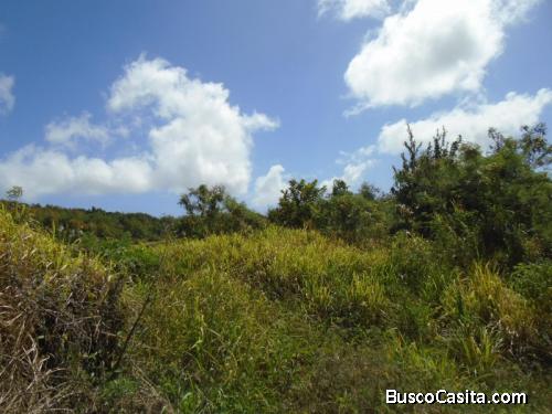 Terreno En Venta Bárcenas Villa Nueva; Idi: 128547