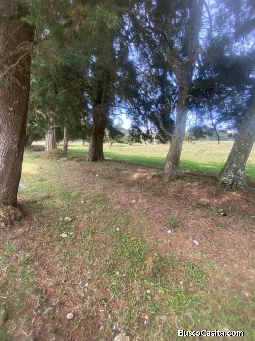 Venta De Terreno En Carretera A El Salvador; Idi: 125510