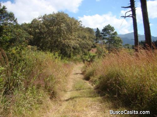 Vendo Terreno En Km. 6 A San Jose Pinula Palencia; Idi: 122423