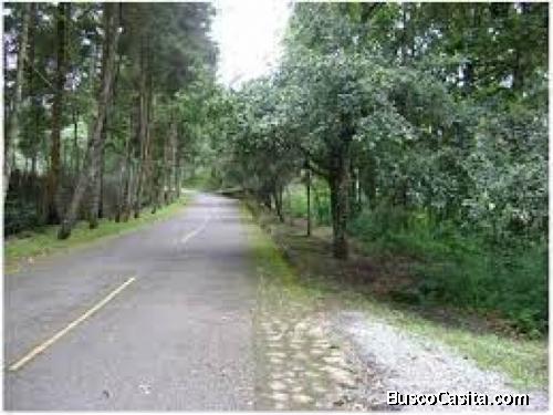 Terreno En Venta En Santa Rosalia Carretera El Salvador; Idi: 122420