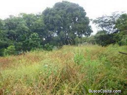 Terreno En Venta En Aldea El Jocotillo Villa Canales Guatemala; Idi: 122393