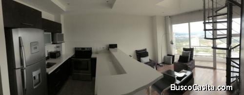 Vendo Apartamento Amueblado Cercano Zona 15; Idi: 122313