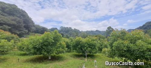 Finca De Una Manzana En Venta En Santiago Sacatepéquez; Idi: 135473