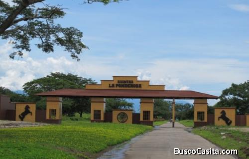 Terreno En Venta De 13x35 En Quintas La Ponderosa ; Idi: 134474