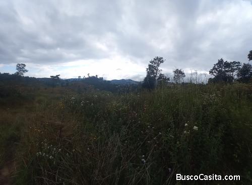 Terreno Comercial Área San Pedro Ayampuc; Idi: 131800