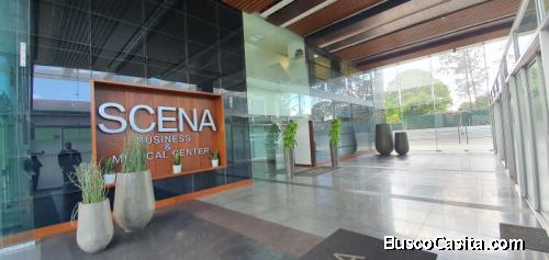 Se Alquila Oficina En Edificio Scena Muxbal; Idi: 130969