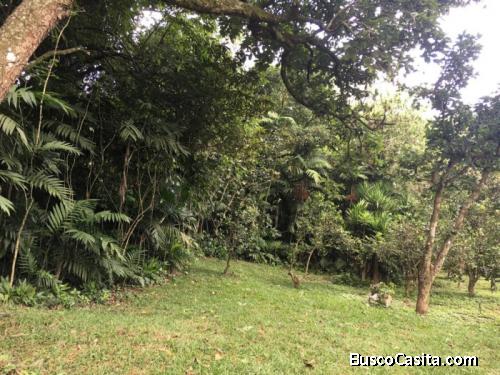 Terreno Comercial En Zona 15 Colonia La Trinidad; Idi: 130775