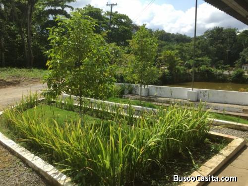Terreno En Alquiler O Venta Carretera A Puerto Barrios; Idi: 129722