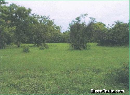 Renta Terreno Ideal Para Gasolinera En Escuintla; Idi: 128613