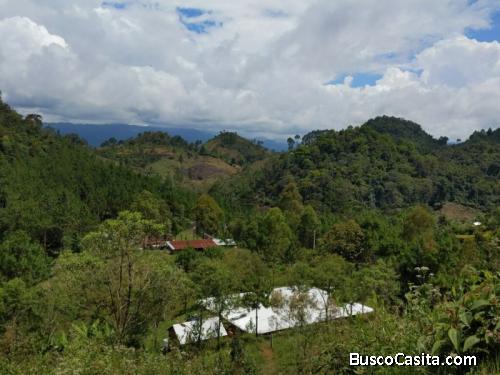 Finca En Venta En San Pedro Carchá Cobán, Alta Verapaz; Idi: 126737