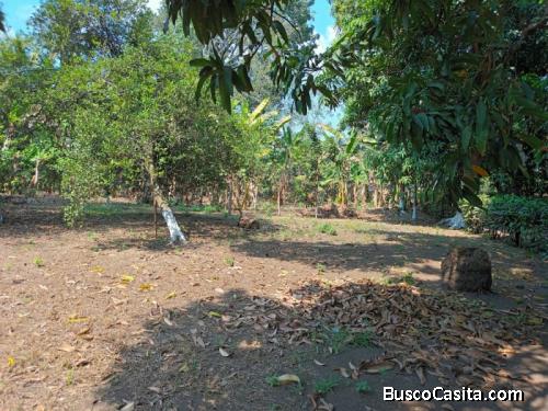 Alquilo Predio En El Puerto De San Jose, Escuintla ; Idi: 123443