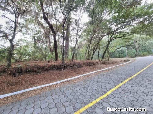 Se Vende Terreno En El Encinal Tronco 16; Idi: 123411