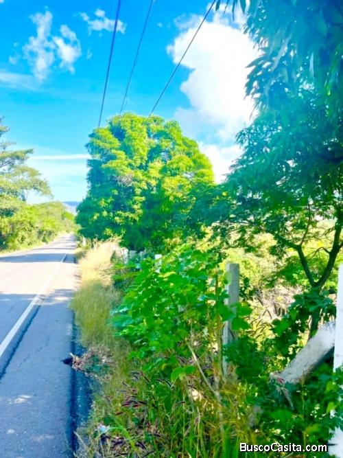 Terreno Comercial Carretera Principal A Esquipulas; Idi: 123131