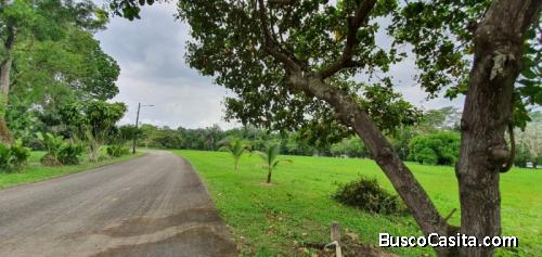 Terreno En Venta En La Rio Dulce Punta Manati Izabal; Idi: 121054