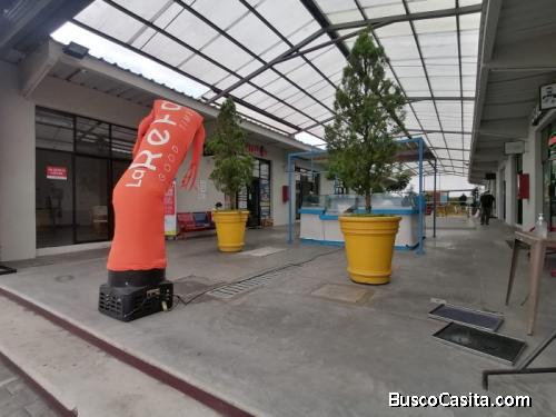 Locales Comerciales En Usac Zona 12; Idi: 117739