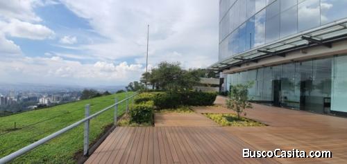 Oficina En Renta En Zona 15 En Torre Tigo; Idi: 116465