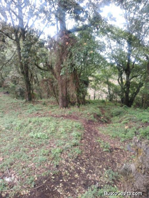 Alquilo Terreno Para Torre De Telefonia O Gasolinera; Idi: 116436