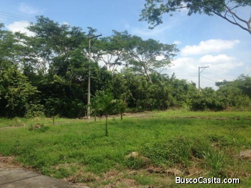 Terreno En Venta En  Km 79 Autopista Puerto Quetzal; Idi: 116247